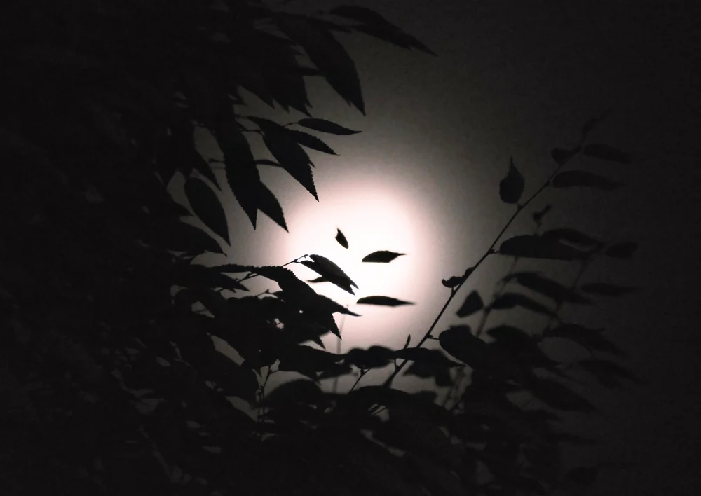 DSCF6090.JPG