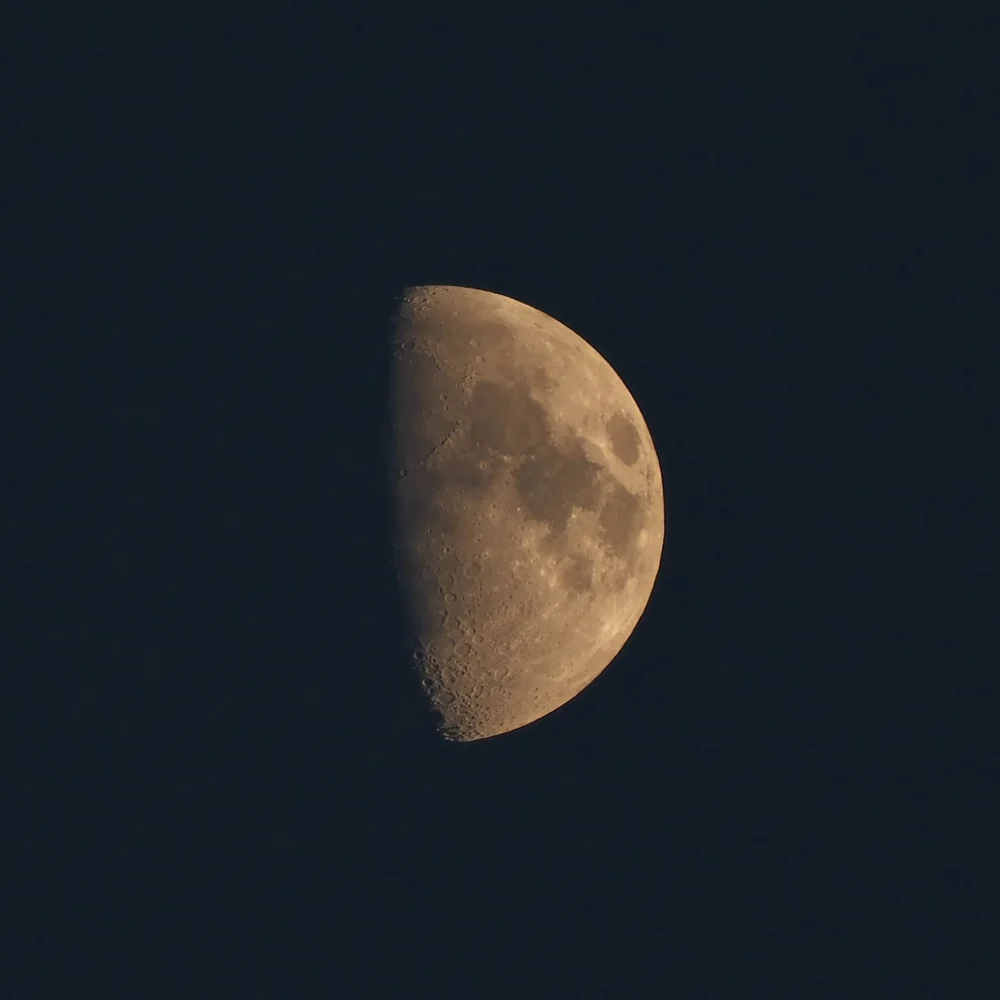 DSCF1016.JPG